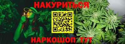 дмт Шебекино