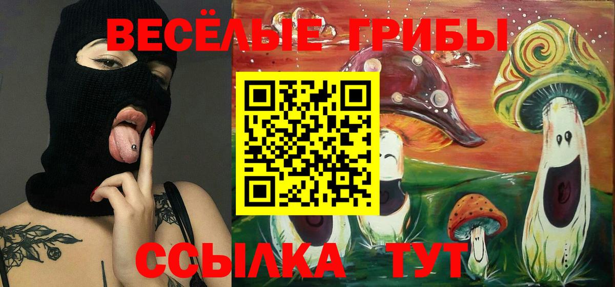 Псилоцибиновые грибы мухоморы Ачинск